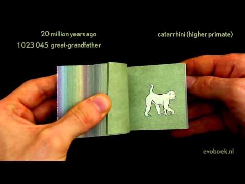 550 million years of evolution in Flipbook 550 million years of evolution in Flipbook